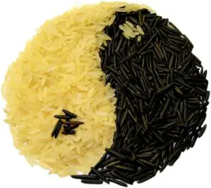 Alimentos yin yang, dietetica taoista