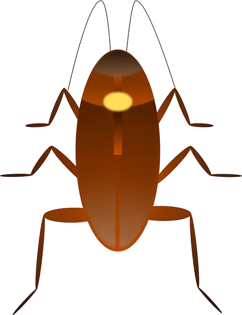 Droom met Kakkerlakken, betekenis, interpretatie