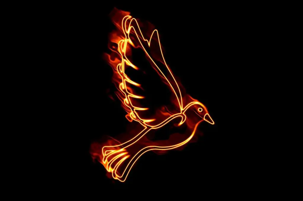 Significado de paloma en fuego: En la biblia, símbolo, sacrificio, cristianismo, Illuminati