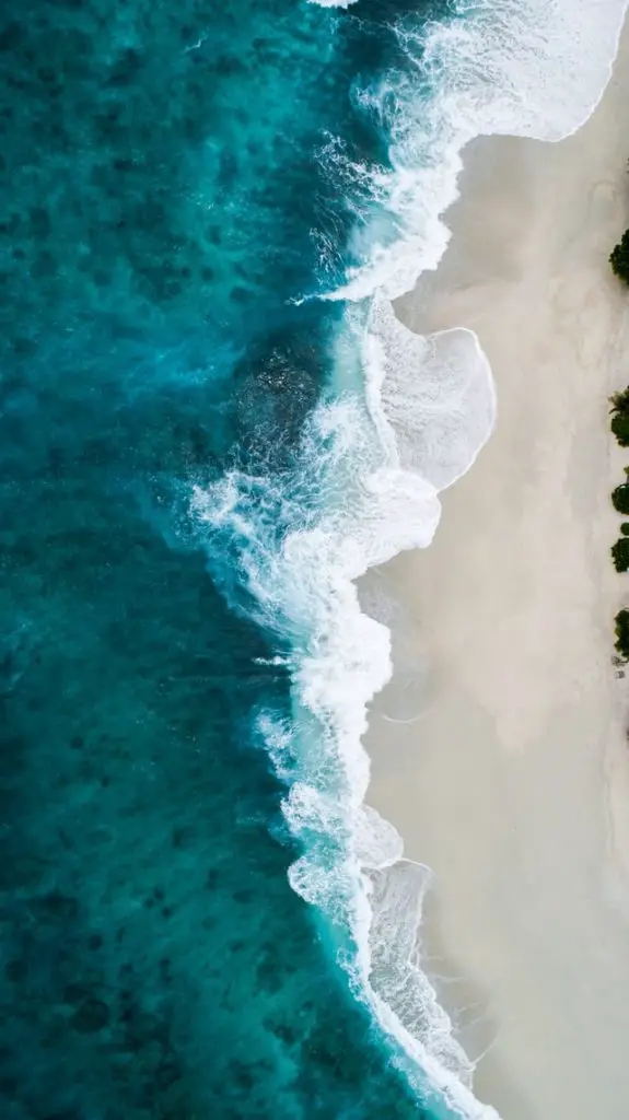 Rêve avec le sens de la mer: Symbole d'espoir; Rêve de vagues dans la mer; Rêve de vagues avec tortue; Rêve de vagues avec lion