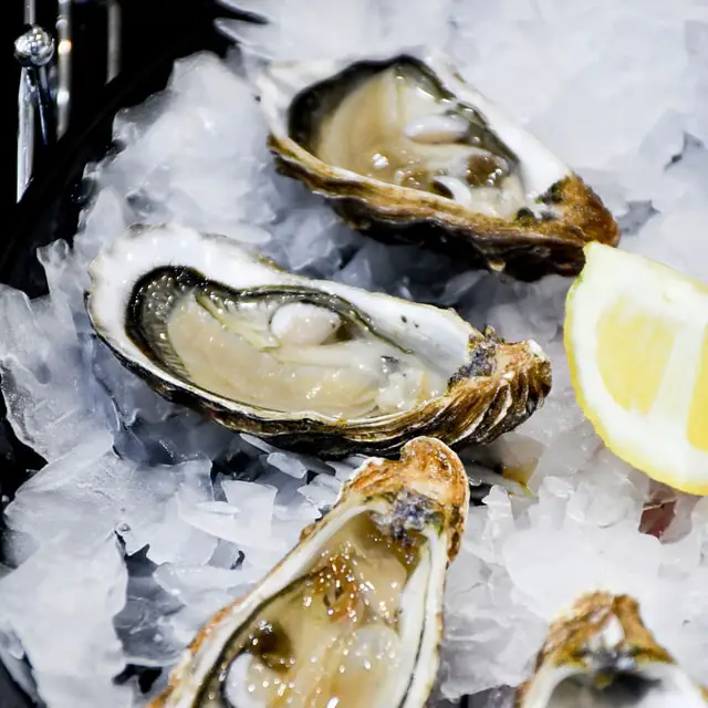 Oyster spiritual meaning: what does oyster symbolize, oyster bird, spiny oyster, oyster shell, are oysters good luck?
