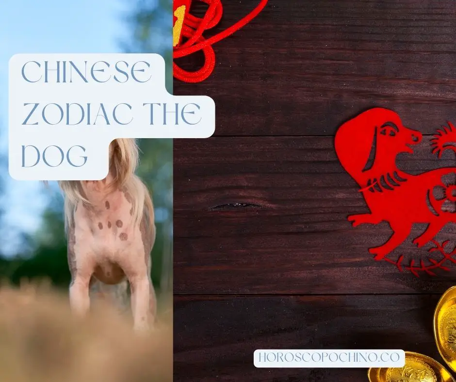 Kinesisk stjernetegn hunden: egenskaber, kompatibilitet, betydning, element