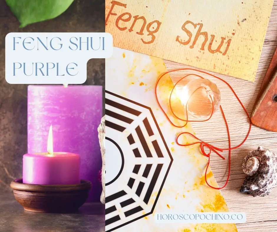 Feng shui purple: Front door, color, wallet, crystal, bracelet, door, flowers, bathroom, kitchen