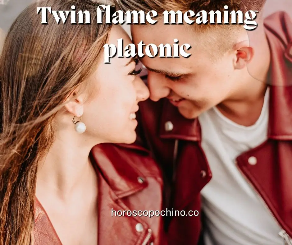 Llama gemela significado platónico