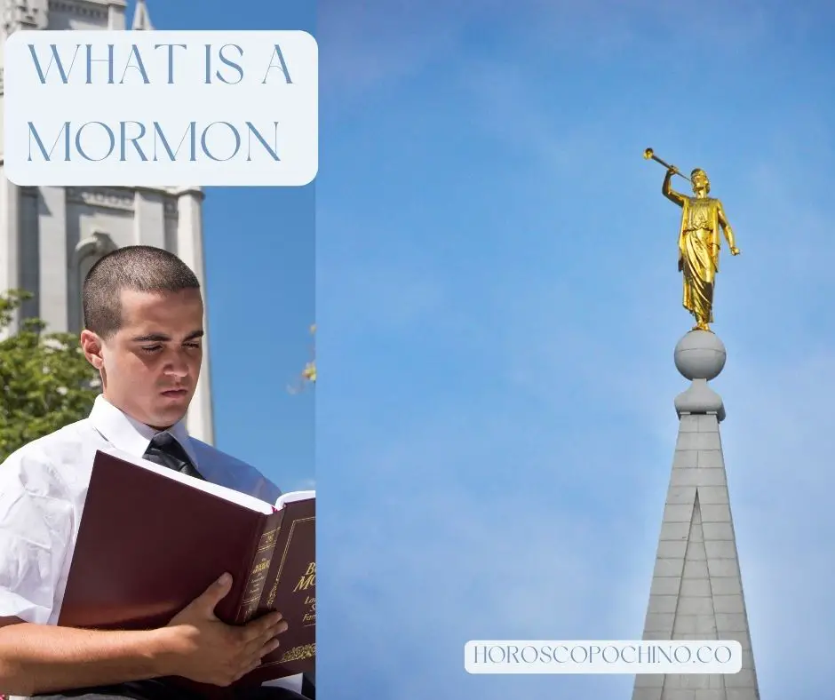 Qu'est-ce qu'un Mormon ?: mission, église, la personne, quartier, temple, pasteur appelé