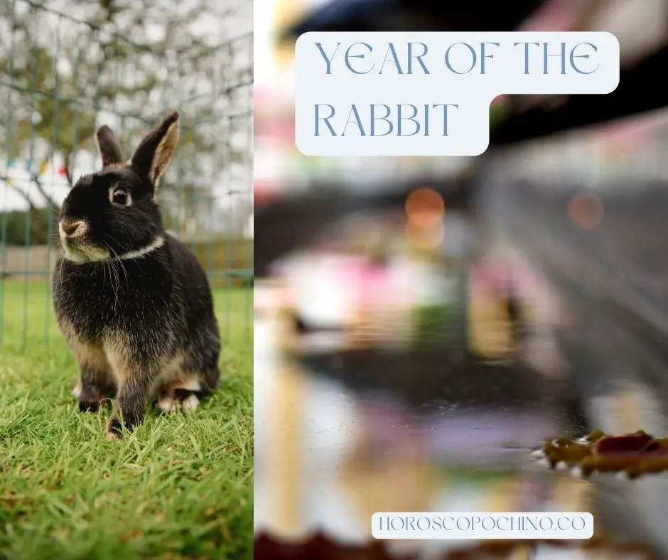 Kaninens år: betydning, personlighed, træk