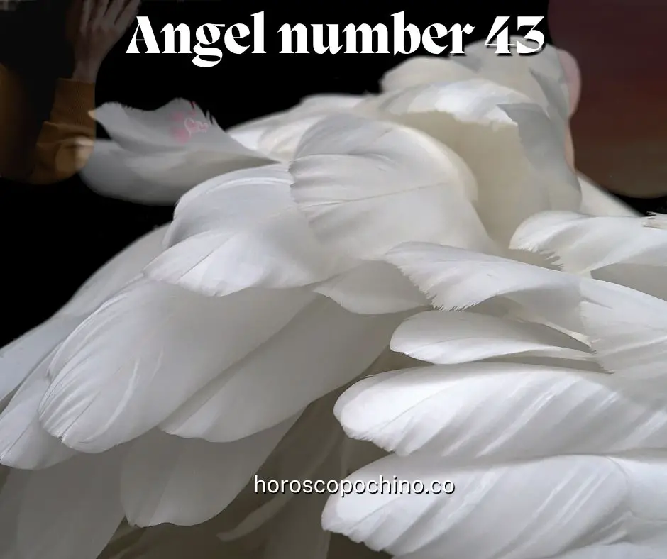 Anjo número 43, significado, espiritual, angelical, numerologia, mensagem