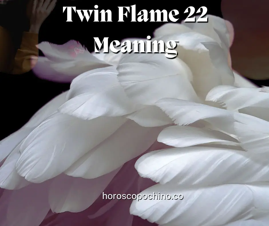 Twin Flame 22 Meaning