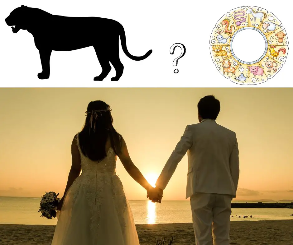 Who should a tiger marry