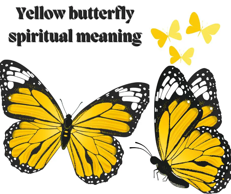 Spirituelle Bedeutung des gelben Schmetterlings