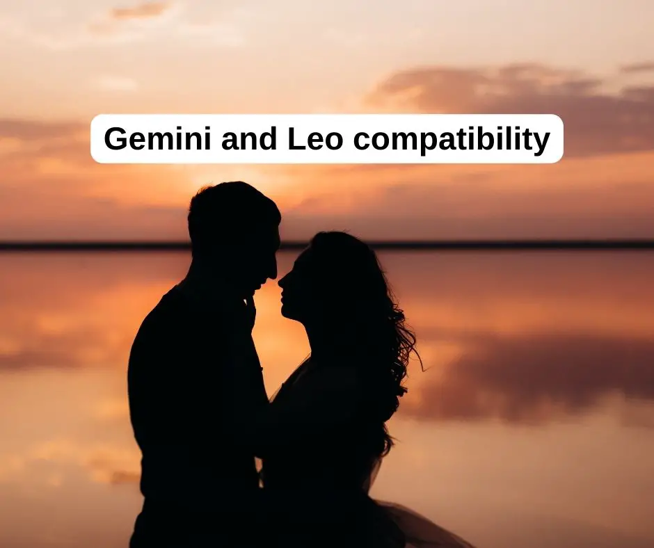 Gemini and Leo compatibility