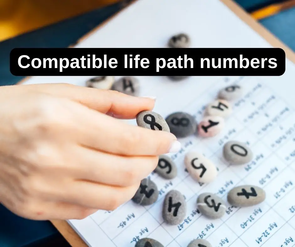 Compatible life path numbers