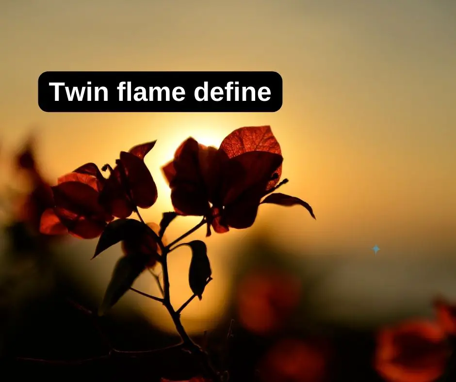 Tvillingflamma definiera