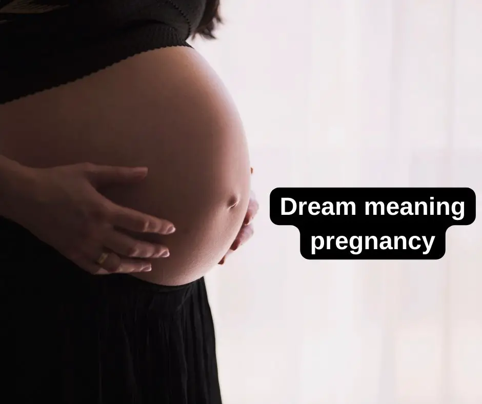 Dream meaning pregnancy