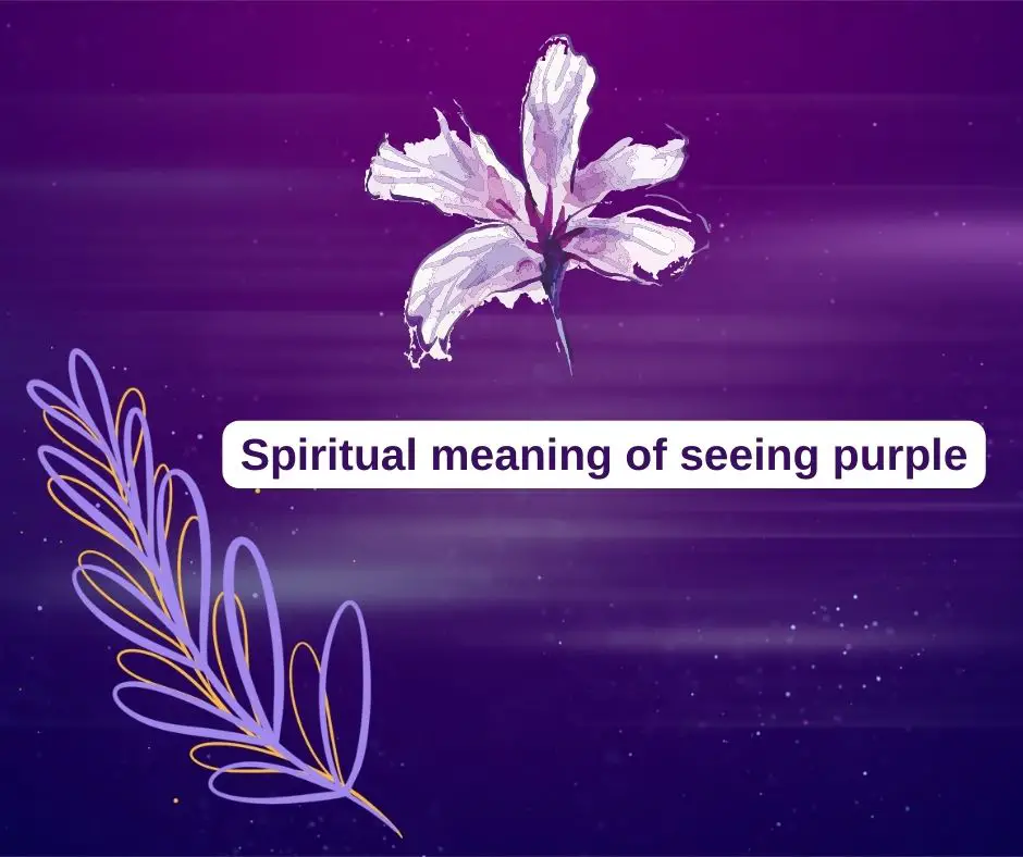 Spiritual meaning of seeing purple