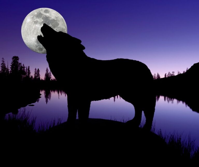 Wolf Moon spiritual meaning