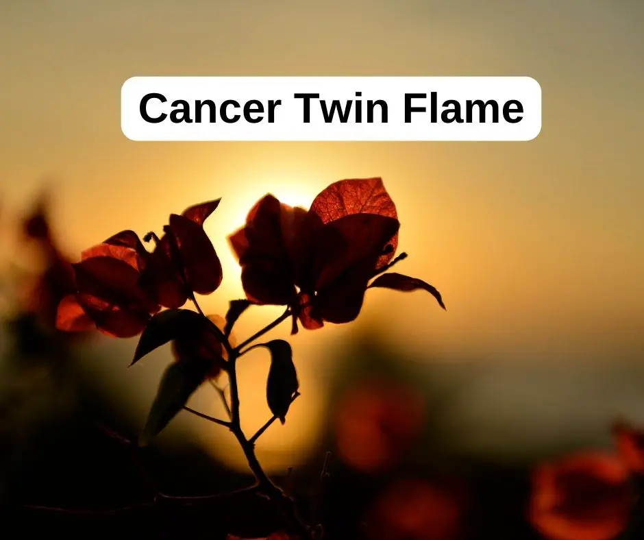 Cancer Twin Flame