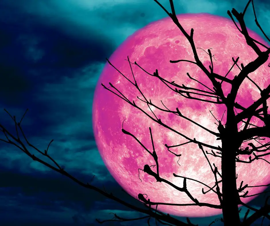 Significado espiritual de la luna rosa