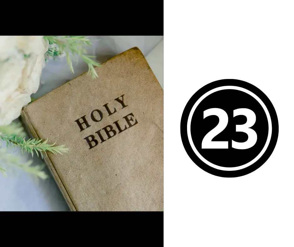 Biblische Bedeutung von 23