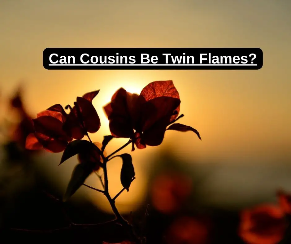Kan kusiner vara Tvillingflammor?